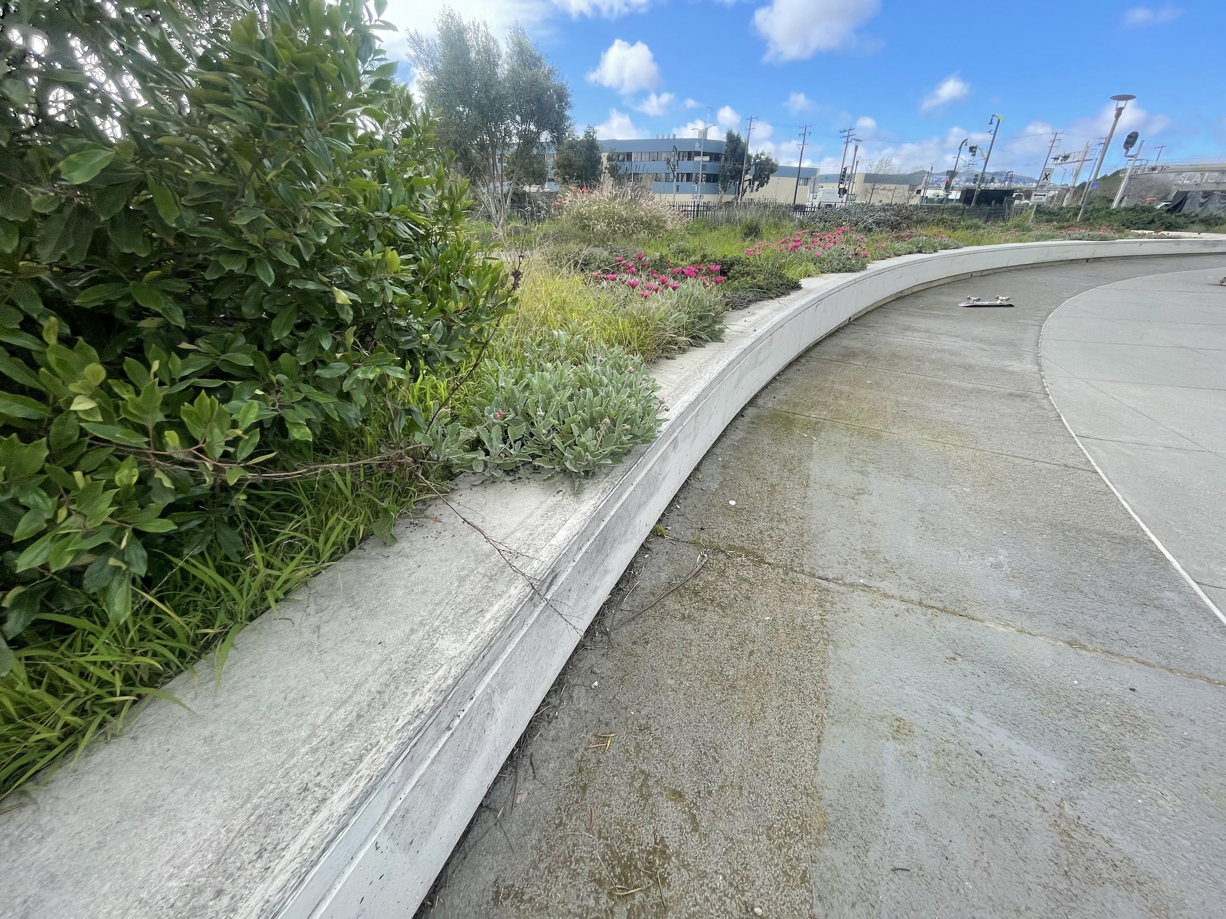 Rosa Parks skatepark